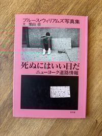 Image 1 of "It's A Good Day To Die," Bruce Williams, 1990.