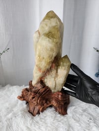 Image 6 of 8.1lb XL Citrine Crystal Cluster With Custom Wood Stand