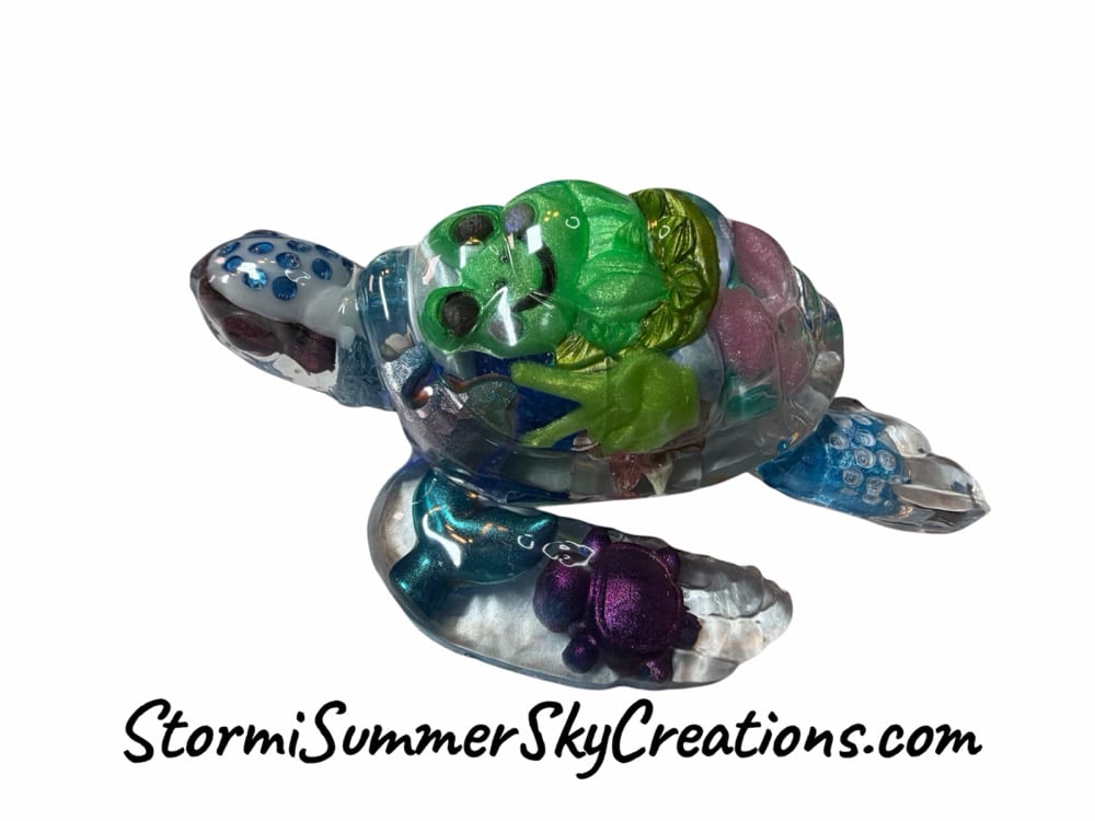 Image of I Spy Turtle