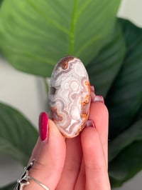 Image 1 of MEXICAN LACE AGATE SHIVA N