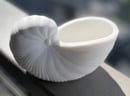 Image 2 of EcoCloud Seashell Candle