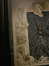 Image 3 of  Orbweaver taxidermy spider with 1800 Bible Page & Real Web