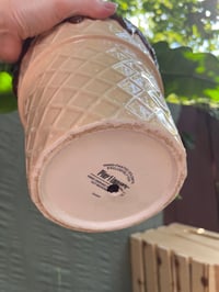 Image 4 of Imperial Green Philodendron in Large Ice Cream Cone 