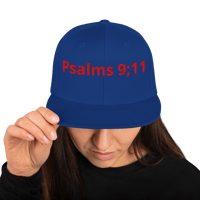 Image 25 of Snapback Hat