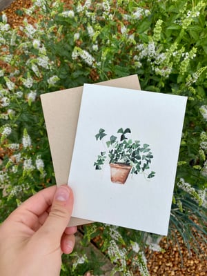 Image of Clover Plant Greeting Card