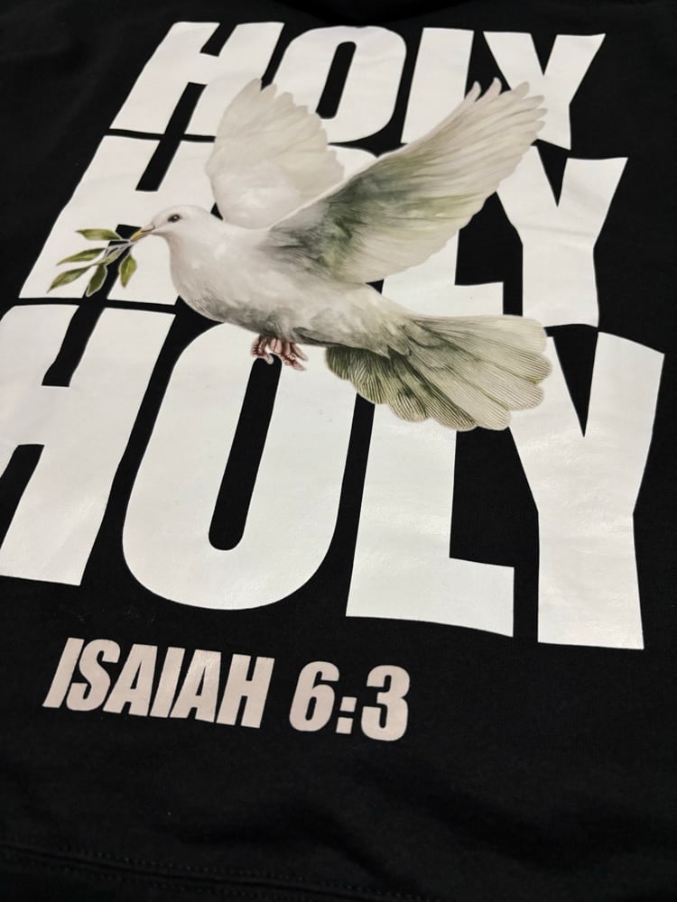 Image of Holy hoodie 