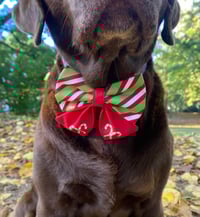 Image 6 of Candy Cane Sailor Bow / Bow Tie