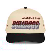 Image 4 of AAU MASCOT HAT