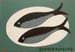 Image of Fish on a Plate