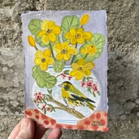 Image 1 of Siskin and Primroses