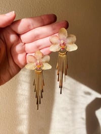 Image 2 of 💜💛Metallic Fringe Orchids💛💜