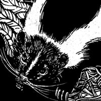 Image 2 of Skunk & Elderberries