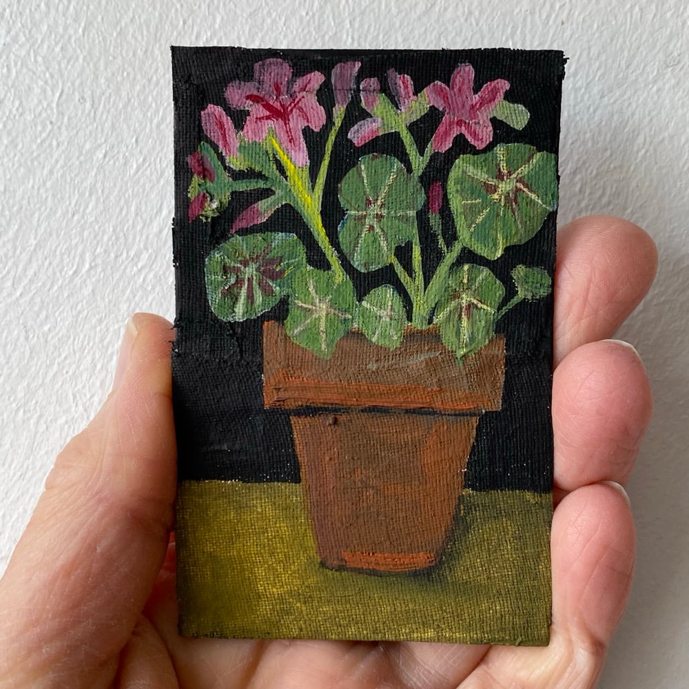 Image of pink pelargonium in a terracotta pot - tiny painting
