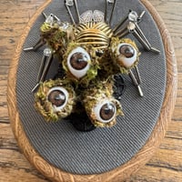 Image 3 of Lichen spider (b, 4x5 inches)