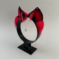 Image 2 of Demon Vampire Kitten