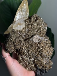 Image 3 of XXL SWEETWATER CALCITE WITH PYRITE -MISSOURI- PORCUPINE POCKET 2025 B
