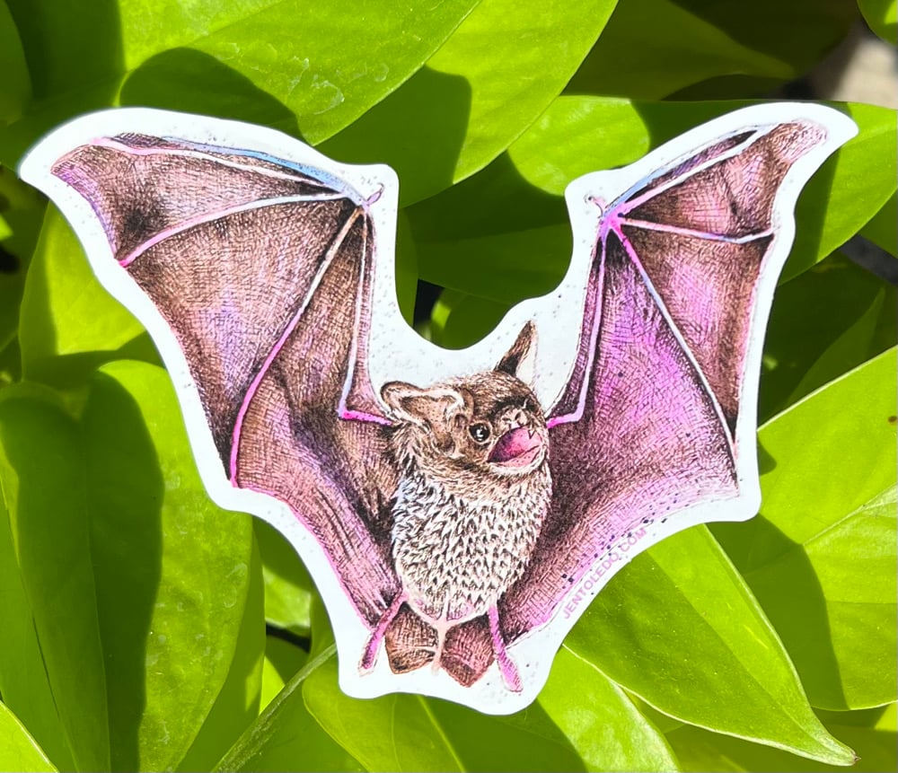 Image of Little Brown Bat & Moths Sticker