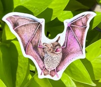 Little Brown Bat & Moths Sticker