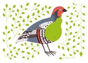 Image of Partridge Pear greetings card