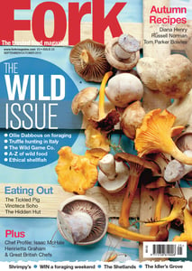 Image of Fork Magazine Issue 25