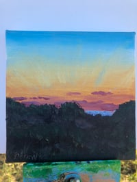 Image 3 of Padre National Seashore