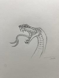 Image 2 of PUA SERP