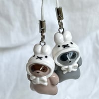 Image 1 of hat raccoons