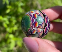 Image 6 of star marb