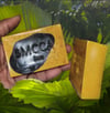 Oat & Glow Bar