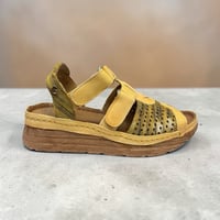 Image 1 of MACIEJKA 01358-07 YELLOW