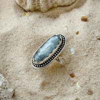 Image 3 of Twilight Tide