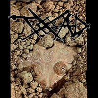 Truth Of All Death s/t 7”