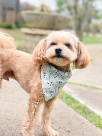 Image 3 of Blue floral Dog Bandana