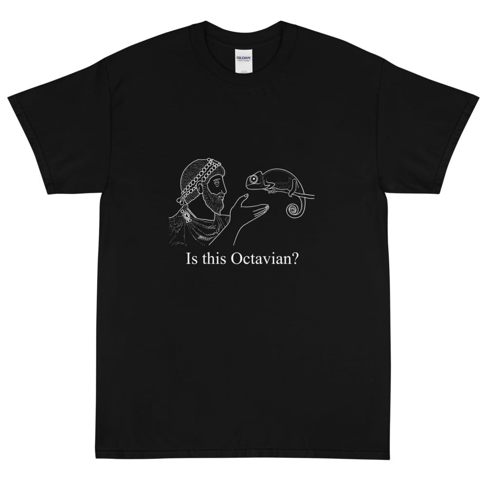 Image of Is This Octavian? Short Sleeve T-Shirt - White Details