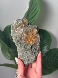 Image 1 of XL HALF POLISHED HIMALAYAN RUTILE IN QUARTZ CLUSTER D