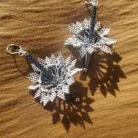 Image 1 of Starburst