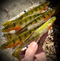 Image 2 of BIG JERKS - “TREX PERCH”