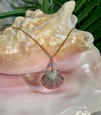 Image 2 of Scallop Shell Necklace N203
