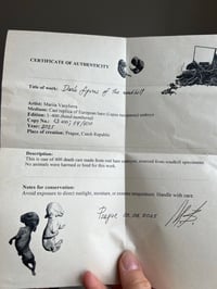 Image 5 of Hare embryo cast Bigger embryo 