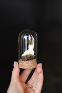 Image 4 of Campana con mandibola di coniglio selvatico