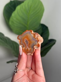 BLUE AND ORANGE CONDOR AGATE -ARGENTINA- #23