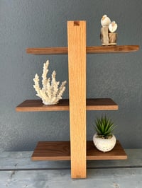 Sliding Shelves