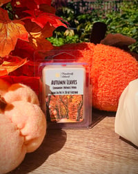Autumn Leaves Waxmelt