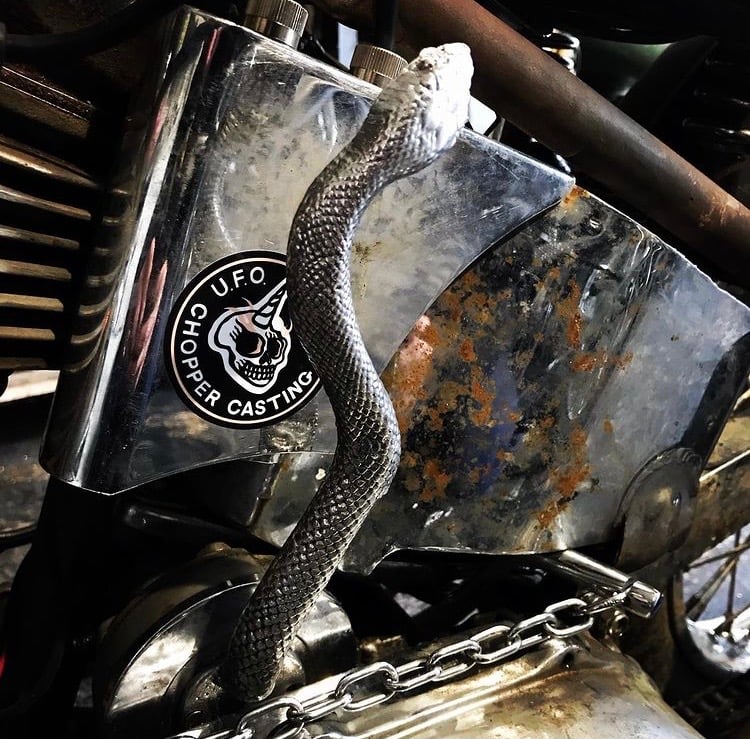 Image of « The serpent » shifter