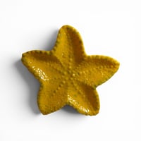 Image 4 of Starfish Trinket Dishes