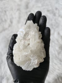 Image 5 of Mineral Specimen - The Pitbull Picks 