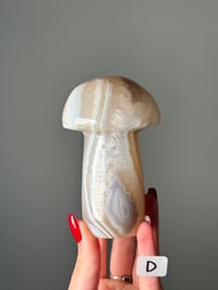 Image 4 of LARGE BANDED AGATE MUSHROOMS