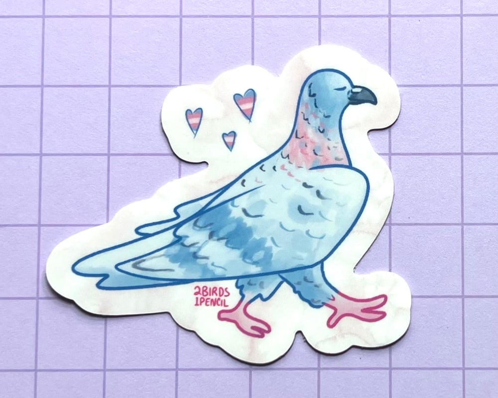 Image of Trans Pride pigeon vinyl sticker
