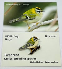 Image 1 of Firecrest - November 2021 - UK Birding Pins - Enamel Pin Badge