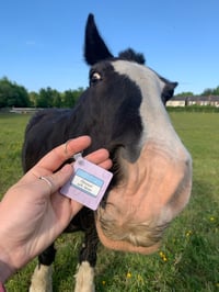 Image 1 of Obsessed with horses keyrings